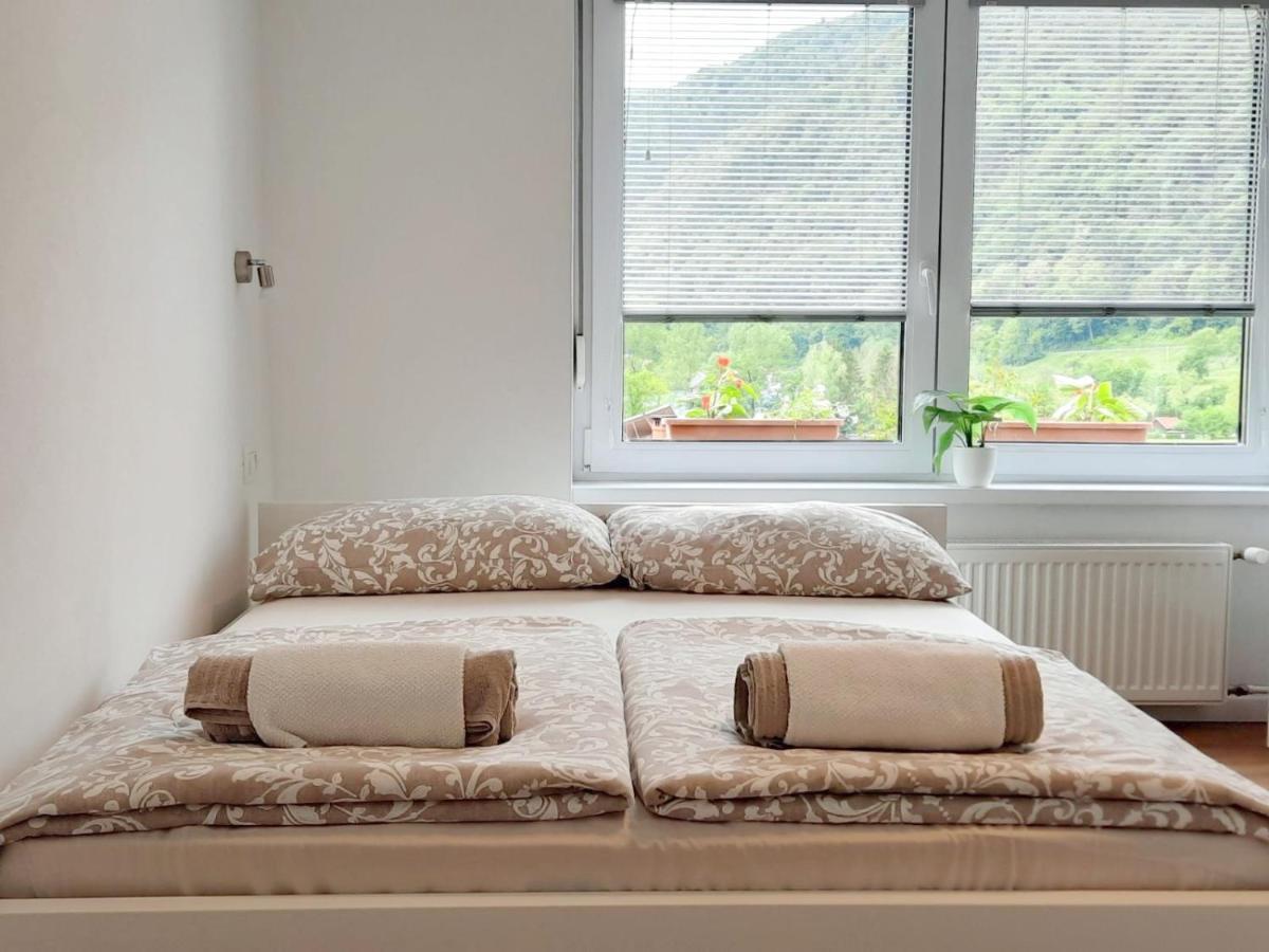 Apartment Loyd, Tolmin - Most na Soči Kültér fotó