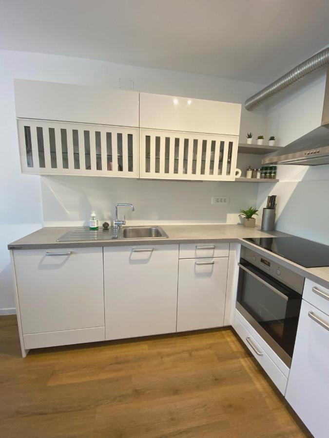 Apartment Loyd, Tolmin - Most na Soči Kültér fotó
